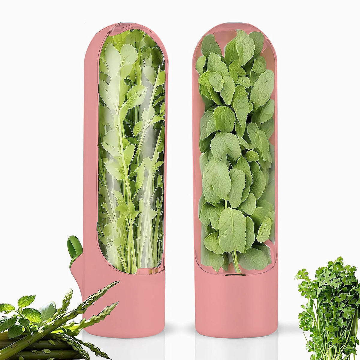 SUPSCH276 Herb Saver for Refrigerator