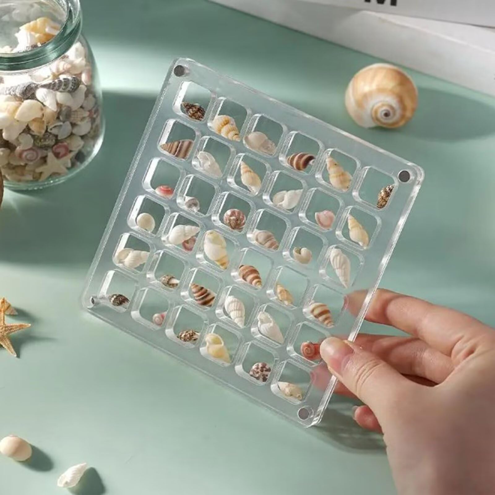 SUPSCH305 Acrylic Magnetic Seashell Display Box