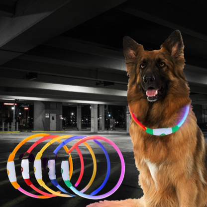 SUPSJY18 BrightBark LED Safety Collar