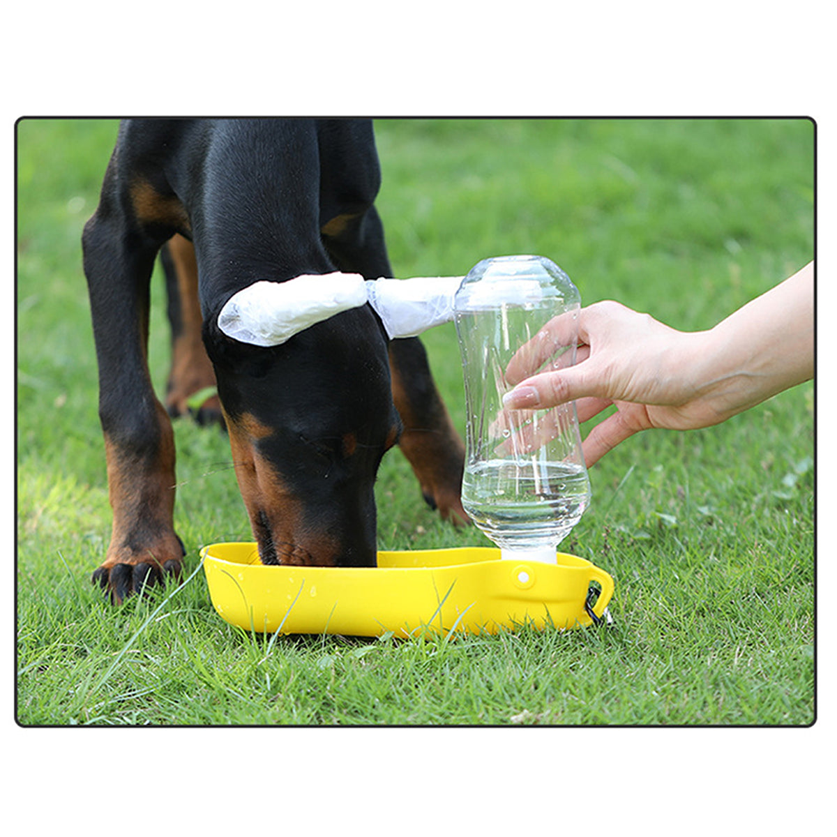 HUPSRC69 Portable Pet Water Bottle